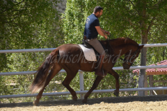 Traquio_203