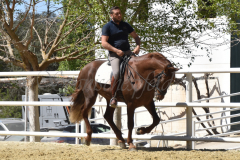 Traquio_216