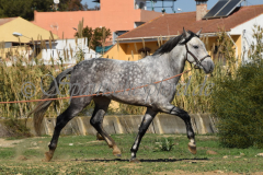 Verdiales_138