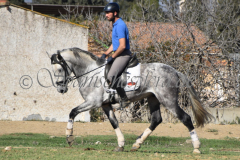 Verdiales_158