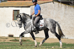 Verdiales_180