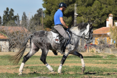 Verdiales_189