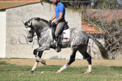 Verdiales_197