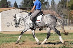 Verdiales_211