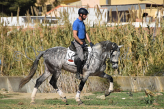 Verdiales_217
