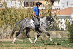 Verdiales_219