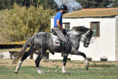 Verdiales_263