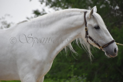 Yucateco-Sol_049