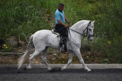 Yucateco-Sol_155