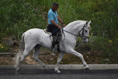 Yucateco-Sol_186