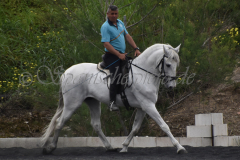 Yucateco-Sol_190