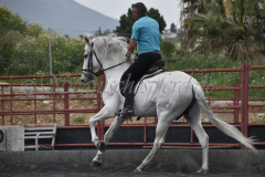 Yucateco-Sol_239