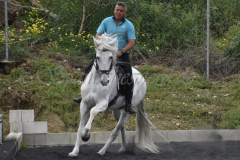 Yucateco-Sol_256