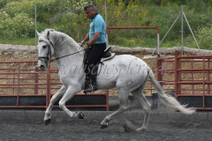 Yucateco-Sol_267