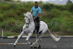 Yucateco-Sol_277