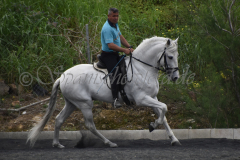 Yucateco-Sol_284