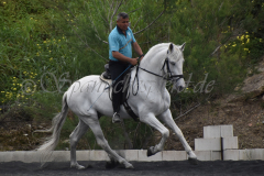 Yucateco-Sol_287