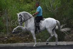 Yucateco-Sol_316