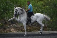 Yucateco-Sol_320