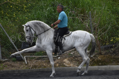 Yucateco-Sol_326